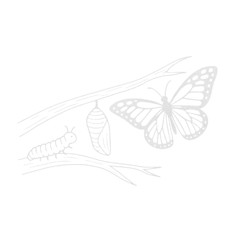 Data Platform Modernization