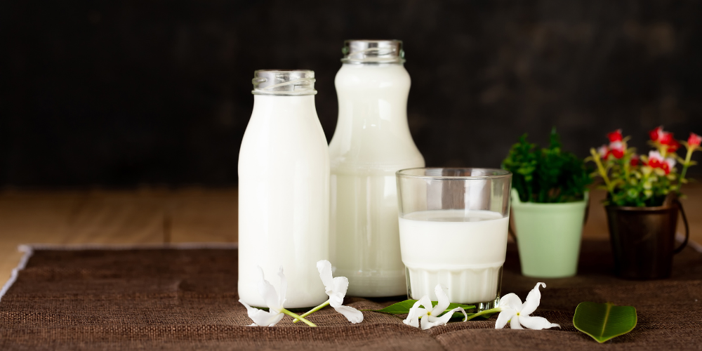 Fresh Milk